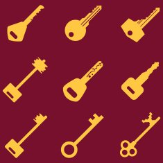 Vector Set of Keys Icons N3