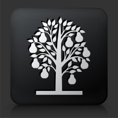 Black Square Button with Pear Tree
