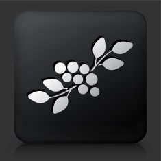 Black Square Button with Berry Leaf Icon