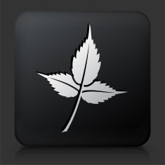 Black Square Button with Leaf Icon