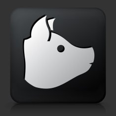 Black Square Button with Pig's Head Icon