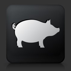 Black Square Button with Pig Icon