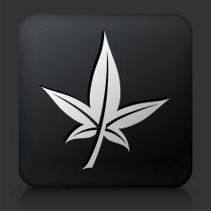 Black Square Button with Leaf Icon N2