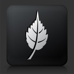 Black Square Button with Leaf Icon N3