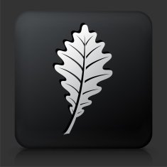 Black Square Button with Leaf Icon N4
