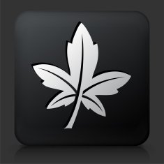 Black Square Button with Leaf Icon N5