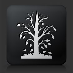 Black Square Button with Fall Season