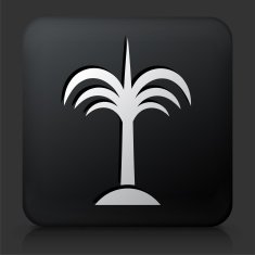 Black Square Button with Palm Tree Icon N13