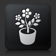 Black Square Button with Plant in Pot Icon