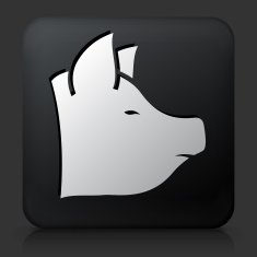 Black Square Button with Pig Icon N2
