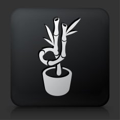 Black Square Button with Bamboo Tree