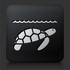 Black Square Button with Sea Turtle