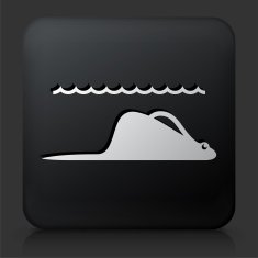 Black Square Button with Sea Ray