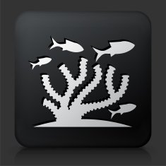Black Square Button with Marine Animals