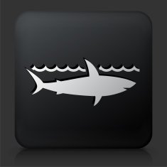 Black Square Button with Shark