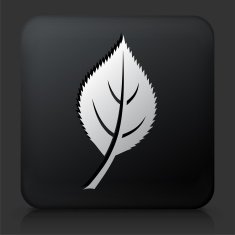 Black Square Button with Leaf Icon N6