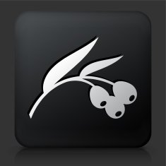 Black Square Button with Berry Leaf Icon N2
