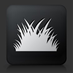 Black Square Button with Patch of Grass