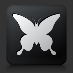 Black Square Button with Butterfly