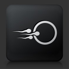 Black Square Button with Sperm and Egg