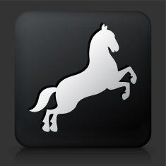 Black Square Button with Horse Icon