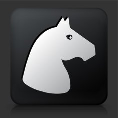 Black Square Button with Horse Icon N2