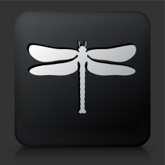 Black Square Button with Dragon Fly Icon