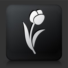 Black Square Button with Tulip Icon