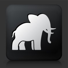 Black Square Button with Elephant Icon