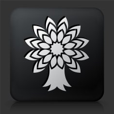 Black Square Button with Tree Icon N4