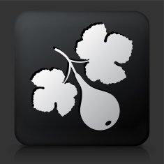 Black Square Button with Fig Fruit