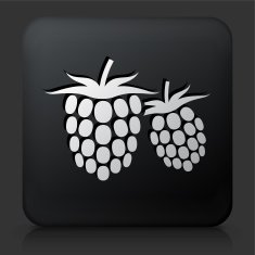 Black Square Button with Two Raspberries