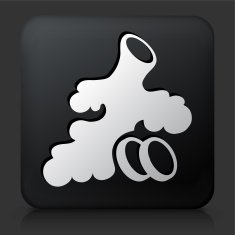 Black Square Button with Ginger Root Icon