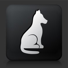 Black Square Button with Dog Icon