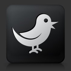 Black Square Button with Bird Icon