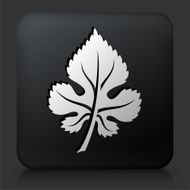 Black Square Button with Leaf Icon N8