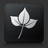 Black Square Button with Leaf Icon N9