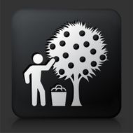 Black Square Button with Harvest Icon