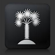 Black Square Button with Palm Tree Icon N14