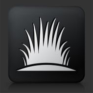 Black Square Button with Bush