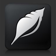 Black Square Button with Seashell