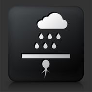 Black Square Button with Sprouting Seed N2