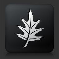 Black Square Button with Leaf Icon N10