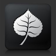 Black Square Button with Leaf Icon N11
