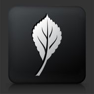 Black Square Button with Leaf Icon N12