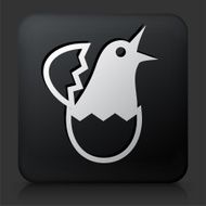 Black Square Button with Hatching Bird