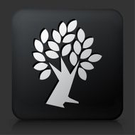 Black Square Button with Tree Icon N5