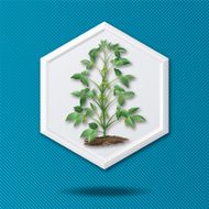 White 3D Hexagon Icon On a Blue Crosshatch Background N2