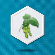 White 3D Hexagon Icon On Blue With Soybeans