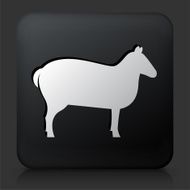 Black Square Button with Sheep Icon
